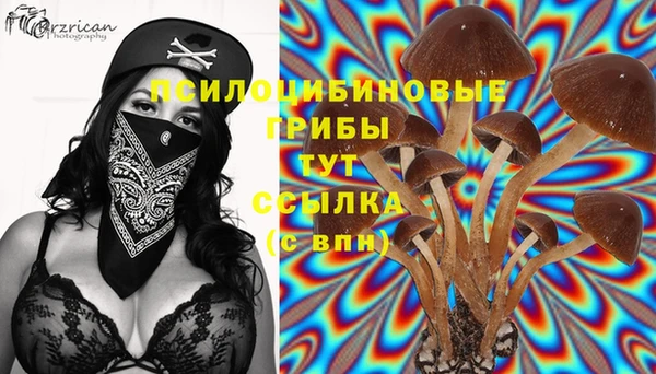 хмурый Лабытнанги