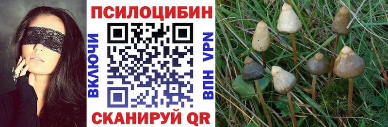 блэк спрут зеркало  Спасск  Псилоцибиновые грибы ЛСД 
